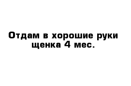 Отдам в хорошие руки щенка 4 мес.